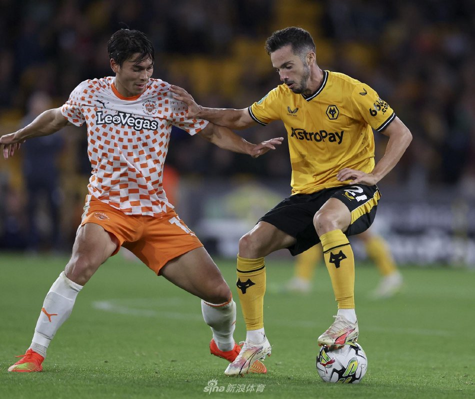 甲冠军阵容 甲冠军阵容