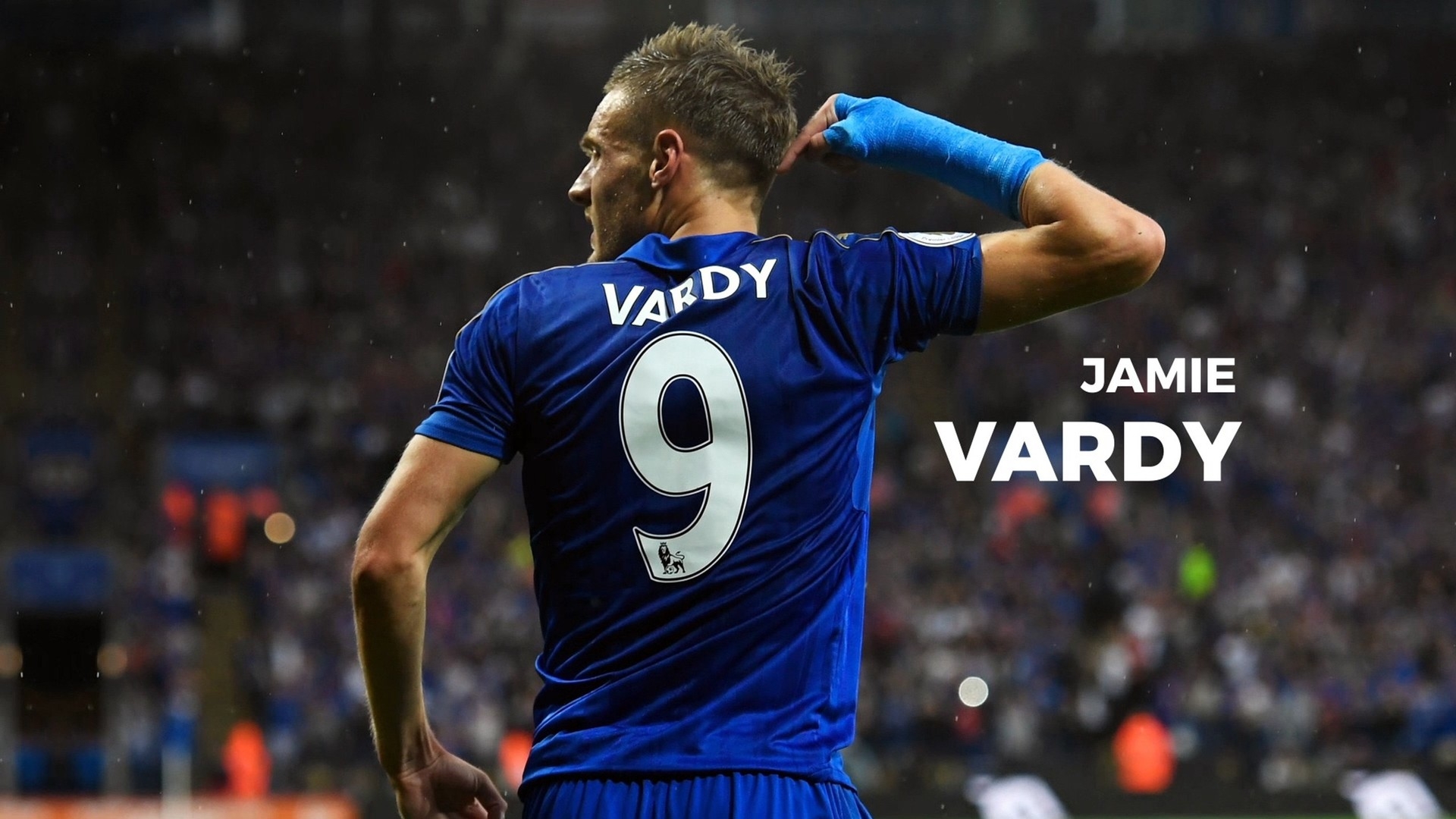 金斯的指导 金斯的指导