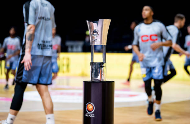 当森林狼试 当森林狼试